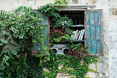 《鸽子男友》原作者表示Epic从未向其支付版税